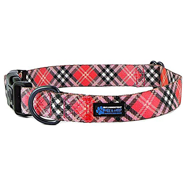 Max and Neo Dog Collar