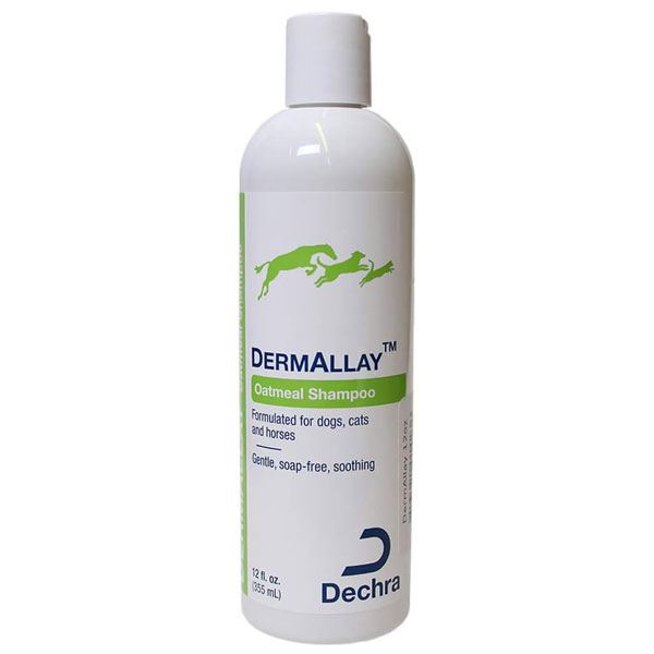 DermAllay Oatmeal Shampoo